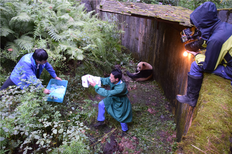 图片默认标题_fororder_5